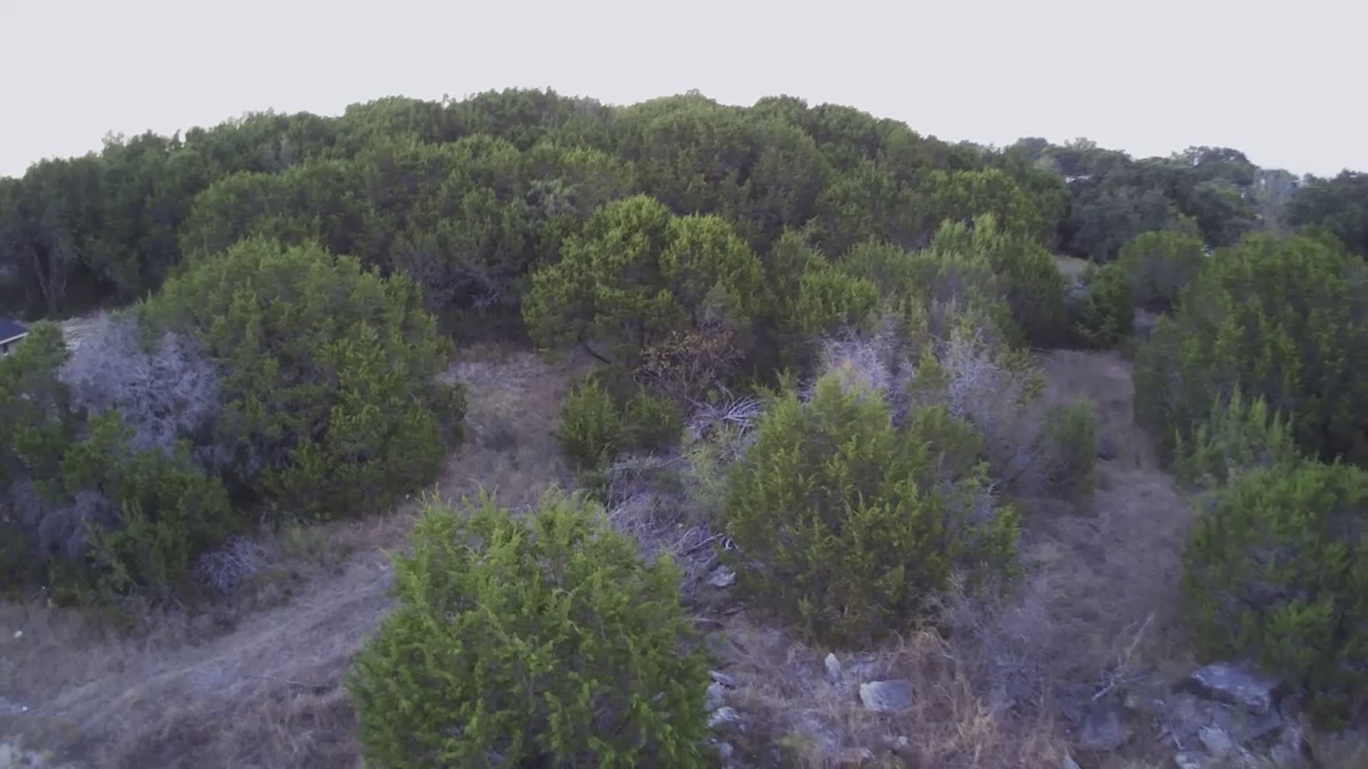 1017 Mojave Trail