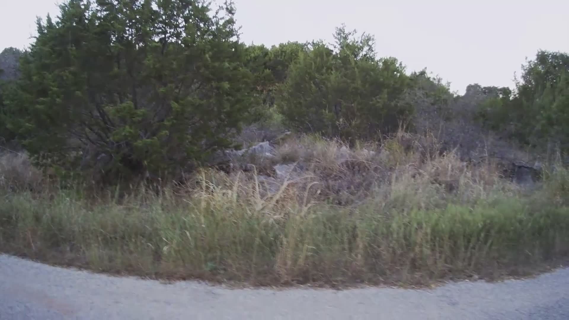 1017 Mojave Trail