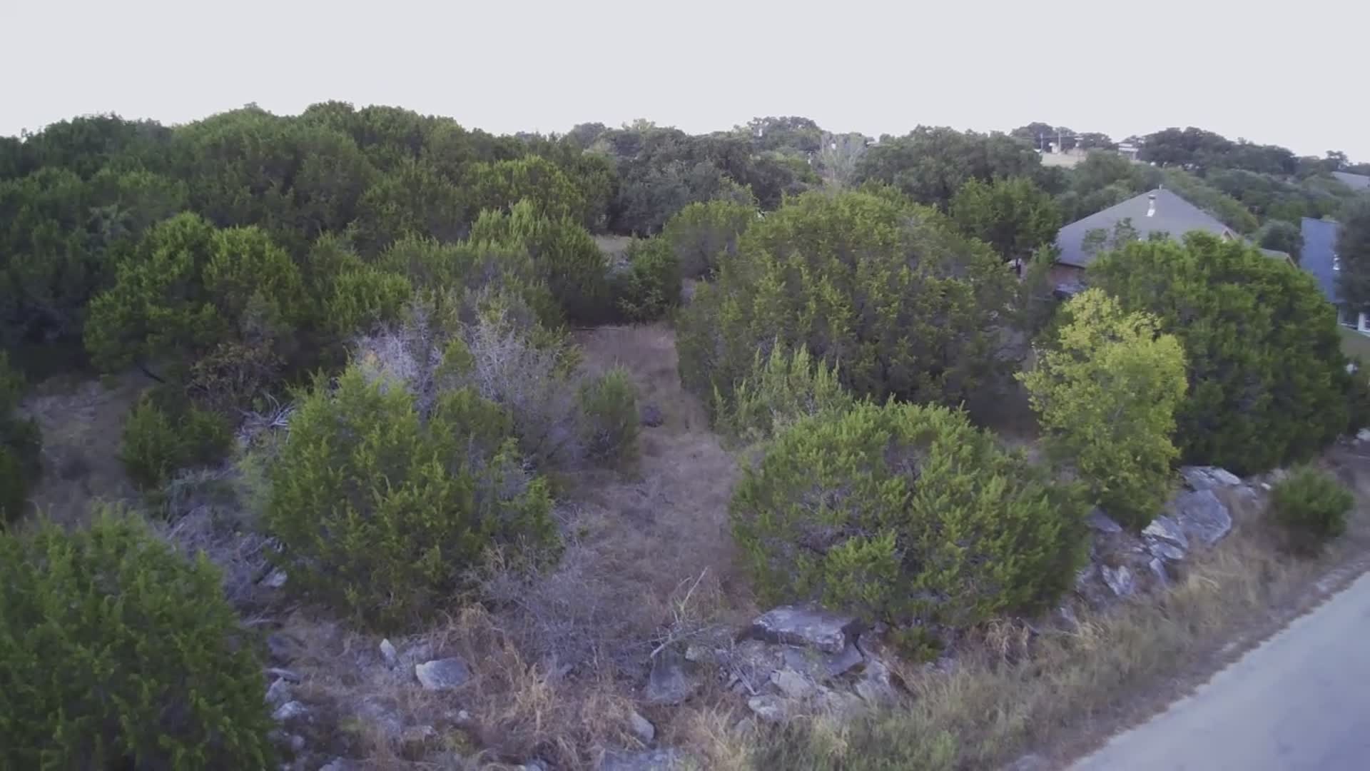 1017 Mojave Trail