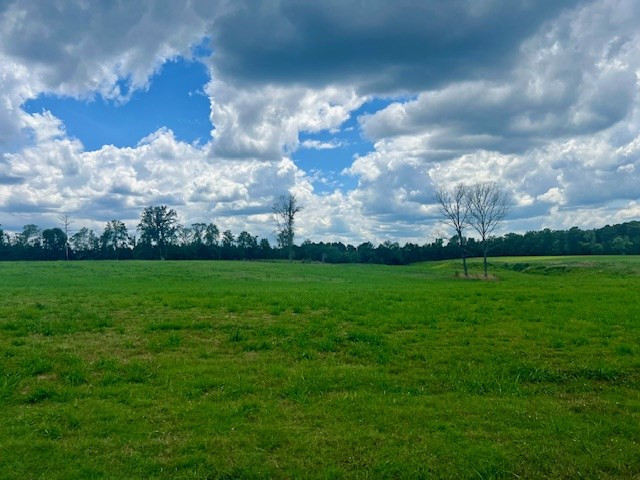 00 Bill Lofton Road, McCall Creek