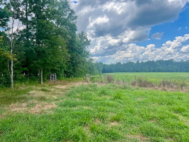 00 Bill Lofton Road, McCall Creek