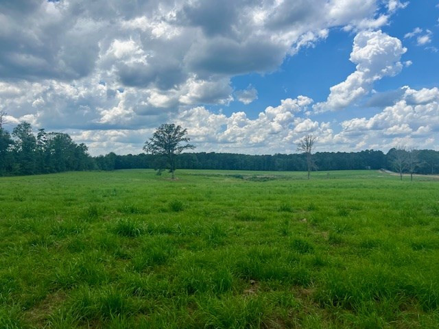 00 Bill Lofton Road, McCall Creek