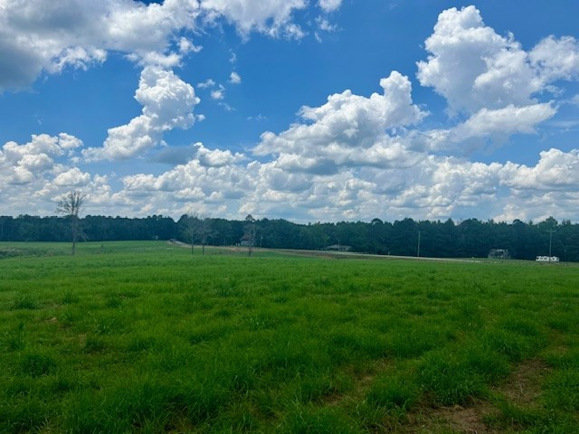 00 Bill Lofton Road, McCall Creek