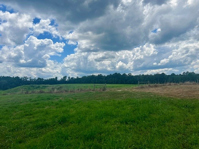 00 Bill Lofton Road, McCall Creek