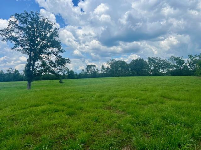 00 Bill Lofton Road, McCall Creek