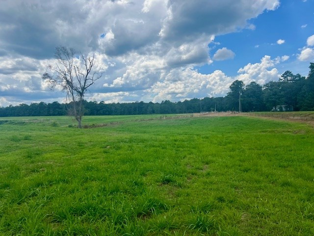 00 Bill Lofton Road, McCall Creek