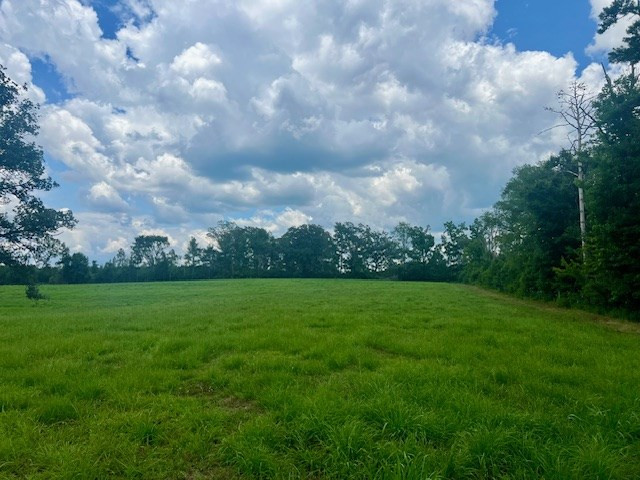 00 Bill Lofton Road, McCall Creek