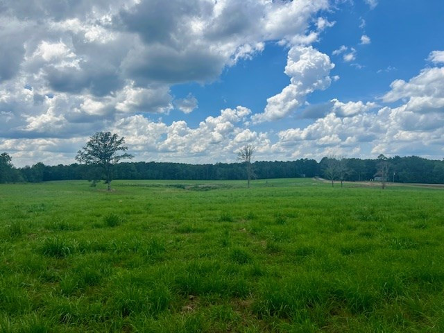 00 Bill Lofton Road, McCall Creek