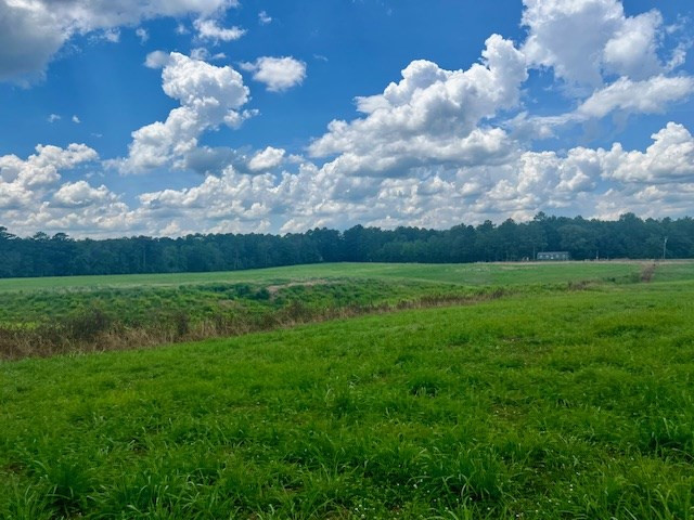 00 Bill Lofton Road, McCall Creek