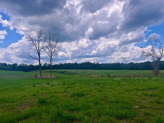 00 Bill Lofton Road, McCall Creek