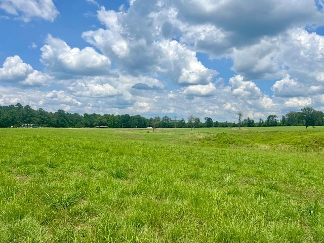 000 Bill Lofton Road, McCall Creek