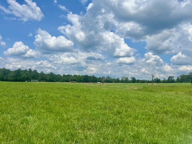 000 Bill Lofton Road, McCall Creek