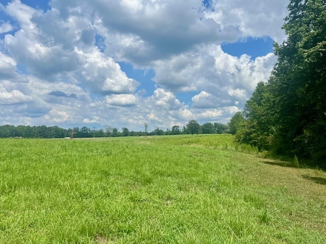 000 Bill Lofton Road, McCall Creek