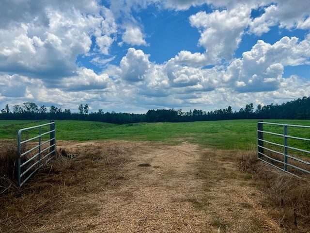 000 Bill Lofton Road, McCall Creek