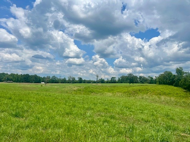 000 Bill Lofton Road, McCall Creek