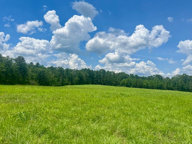 000 Bill Lofton Road, McCall Creek