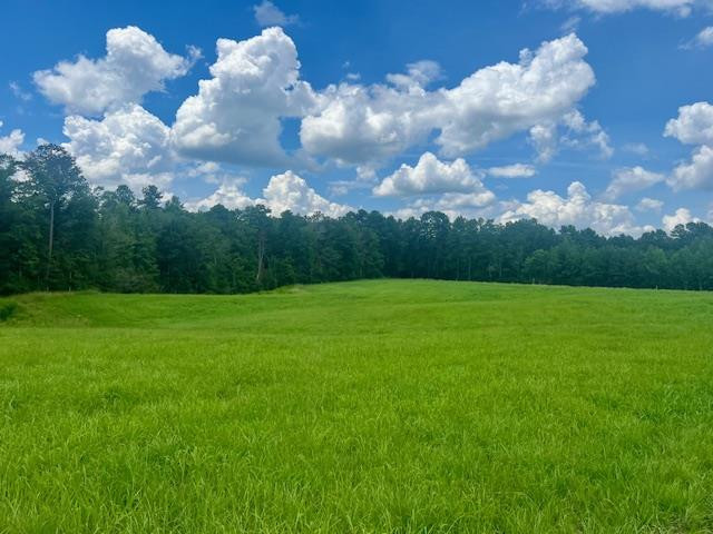 000 Bill Lofton Road, McCall Creek