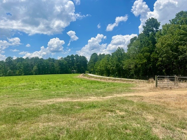 000 Bill Lofton Road, McCall Creek