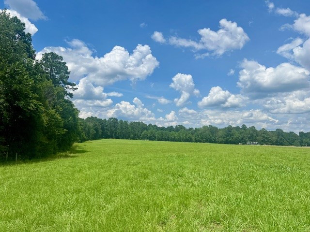 000 Bill Lofton Road, McCall Creek