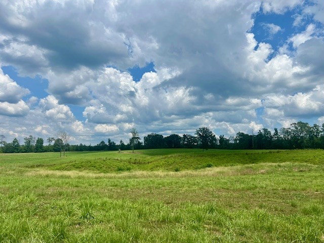 000 Bill Lofton Road, McCall Creek