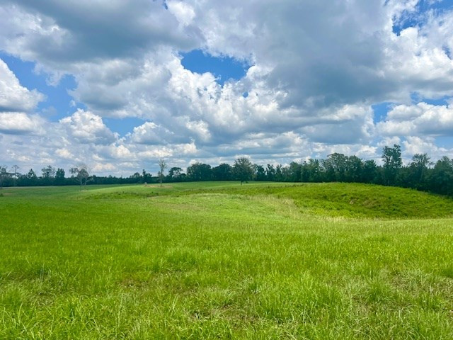 000 Bill Lofton Road, McCall Creek