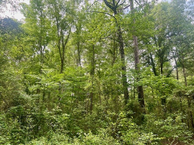 000 Jessie Stogner Road