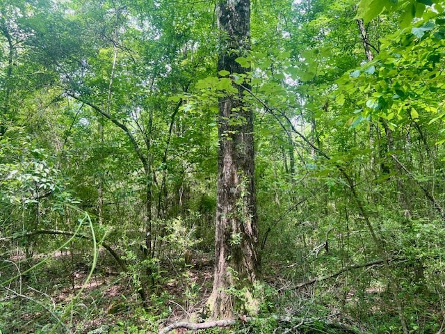 000 Jessie Stogner Road