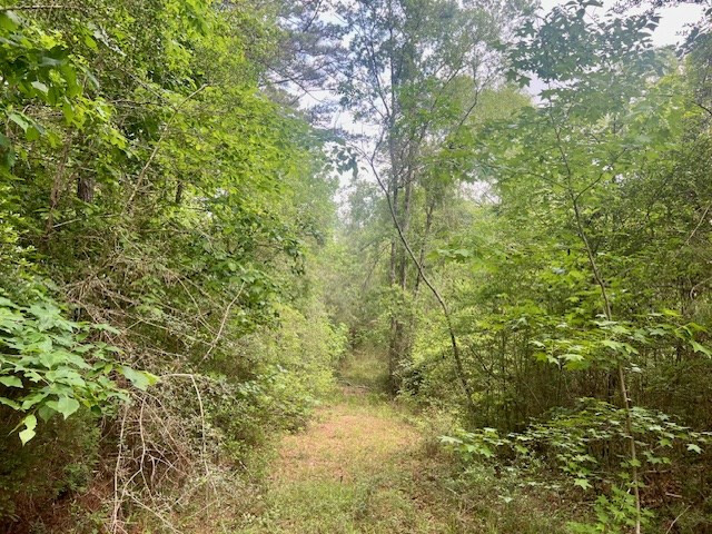 000 Jessie Stogner Road