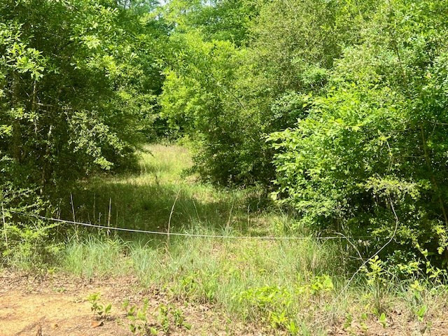 000 Jessie Stogner Road