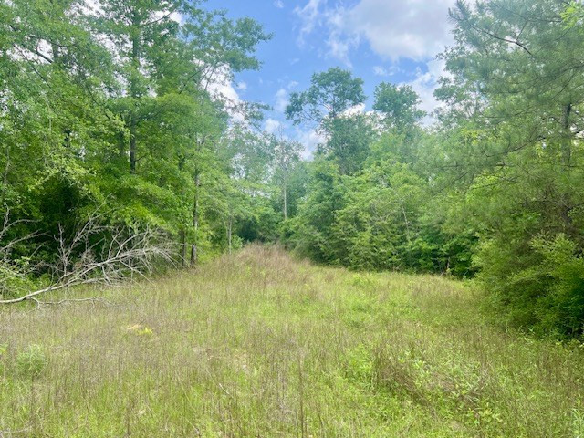 000 Jessie Stogner Road