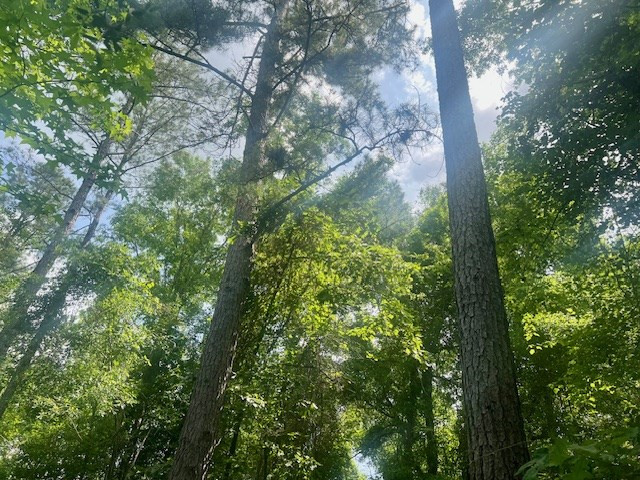 000 Jessie Stogner Road