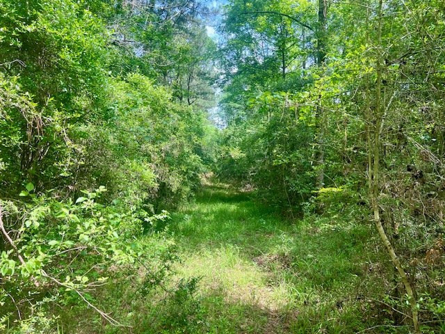 000 Jessie Stogner Road