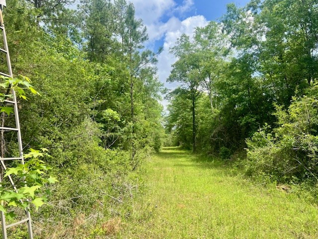 000 Jessie Stogner Road