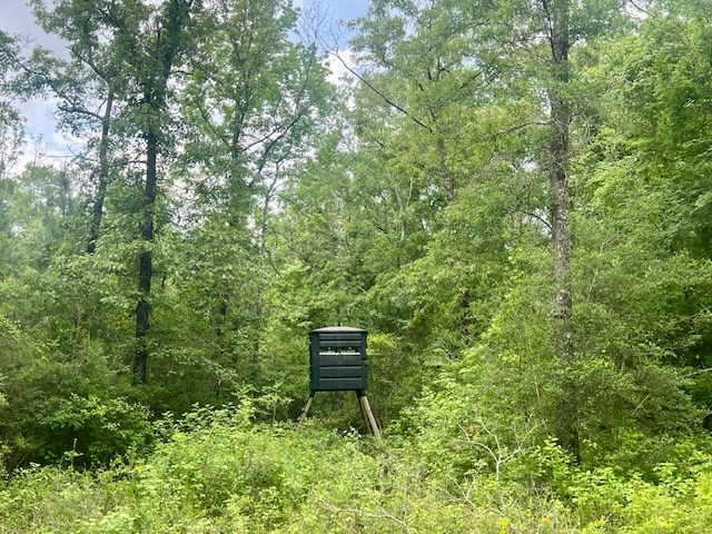 000 Jessie Stogner Road