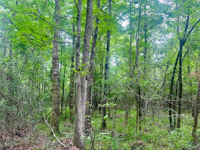 000 Jessie Stogner Road