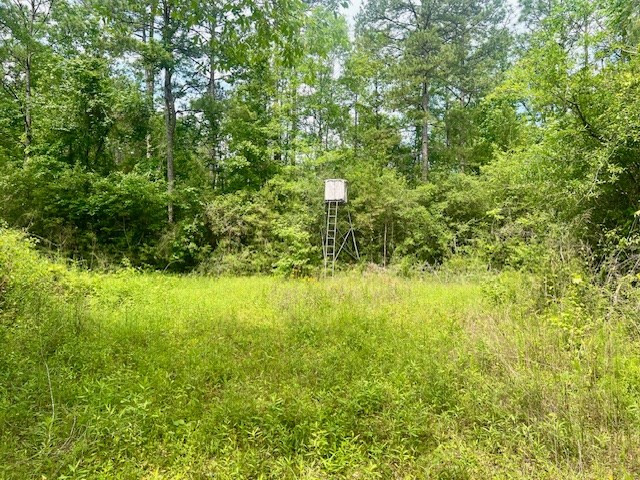 000 Jessie Stogner Road