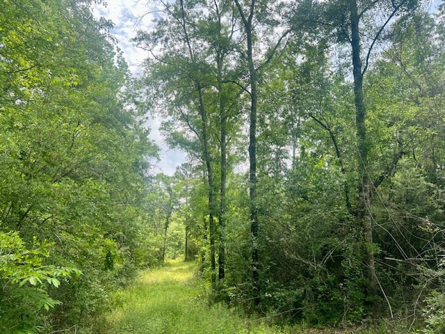 000 Jessie Stogner Road