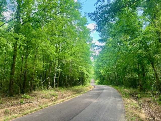 000 Jessie Stogner Road