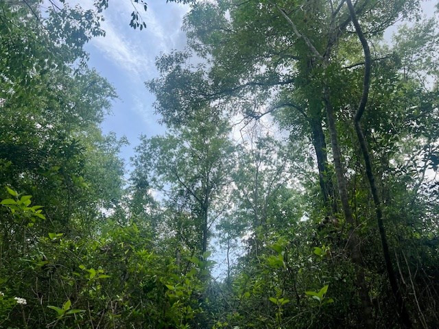 000 Jessie Stogner Road