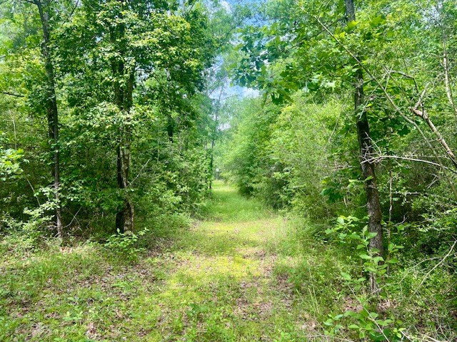 000 Jessie Stogner Road