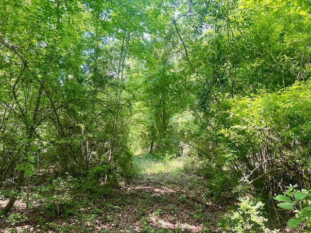 000 Jessie Stogner Road