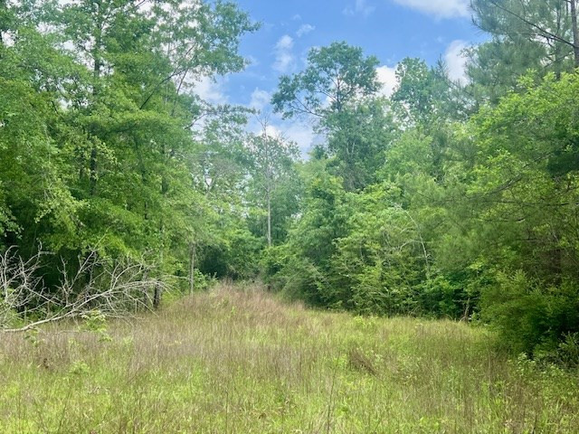 000 Jessie Stogner Road