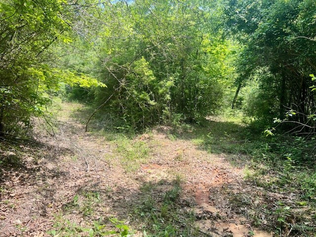 000 Jessie Stogner Road