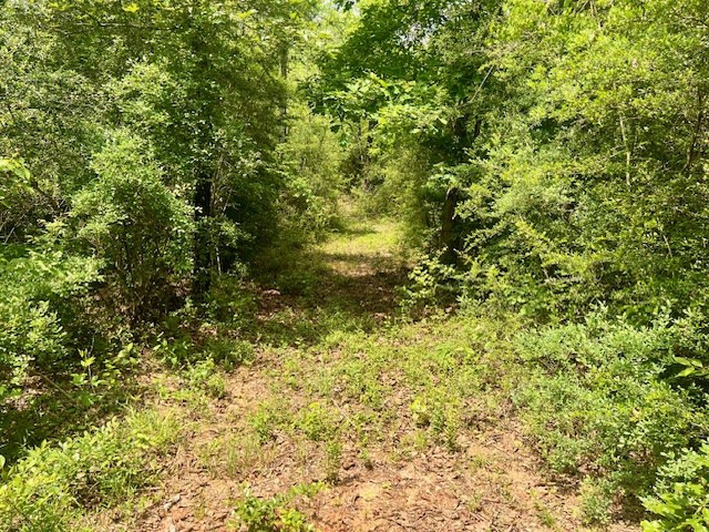 000 Jessie Stogner Road