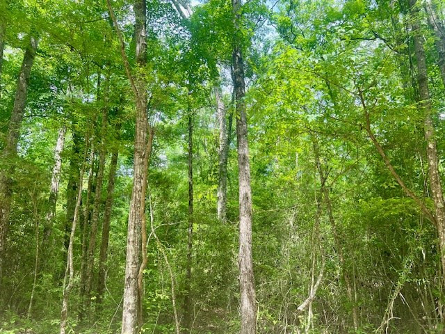 000 Jessie Stogner Road