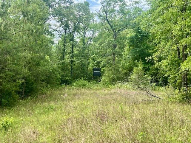 000 Jessie Stogner Road