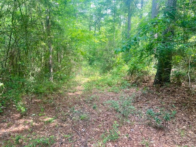 000 Jessie Stogner Road