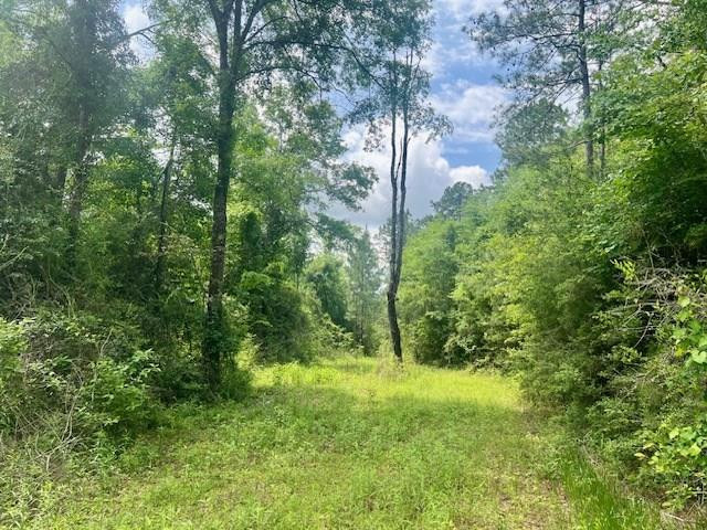 000 Jessie Stogner Road