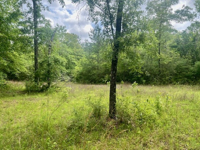 000 Jessie Stogner Road