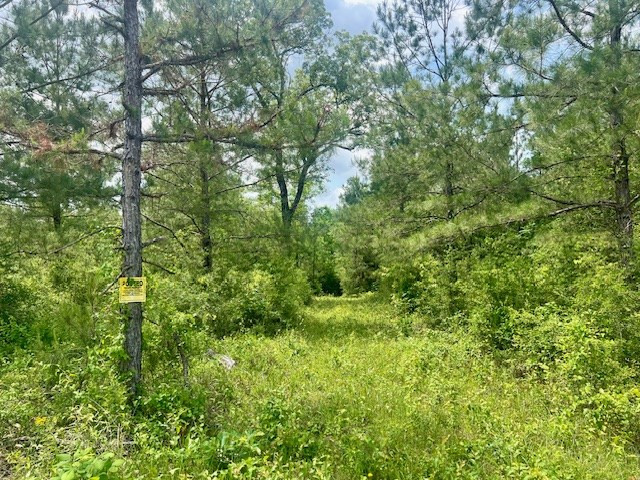 000 Jessie Stogner Road